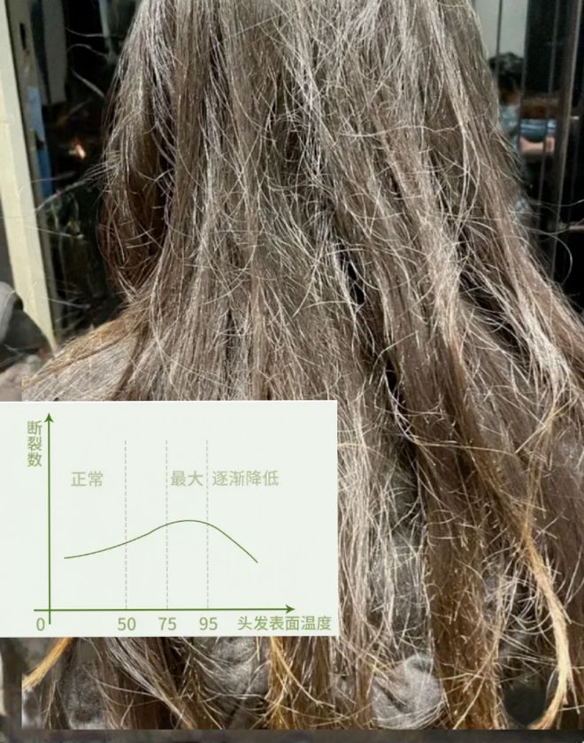 千的吹风机就不配有一头秀发了？不朽情缘游戏网站址用不起好几(图5)