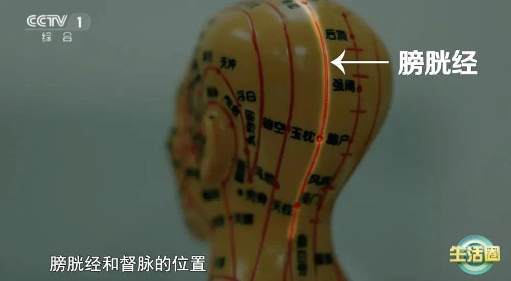 健康问题 护发与健康小贴士快收藏不朽情缘版不同位置白发反映不同(图5)